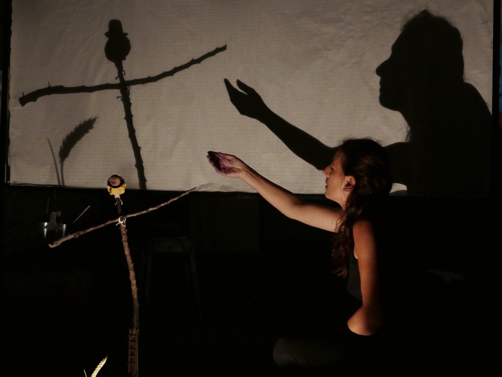 Lunasol 6 - © Agnès Courrault