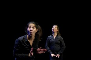 goupil-duo3-sylvain-caro-large